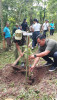 Gebyar Penanaman Pohon/Penghijauan di Hutan Desa Selat. (8 Desember 2023)